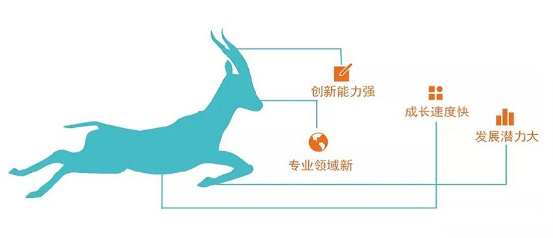 元智科技连续六年被评为中关村瞪羚企业