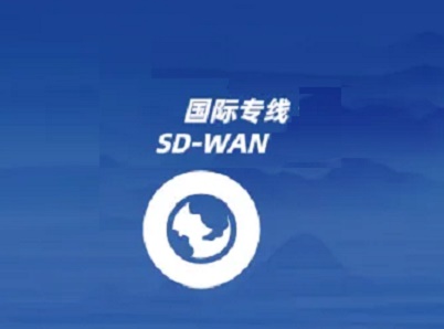 国际学校SDWAN组网应用场景和解决方案